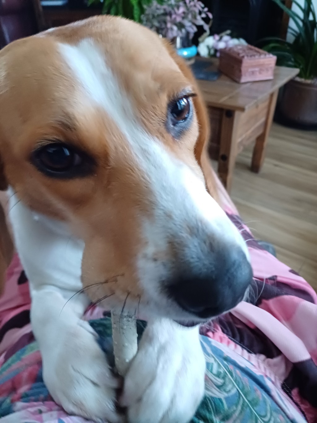 And I’m feelin’&nbsp;good