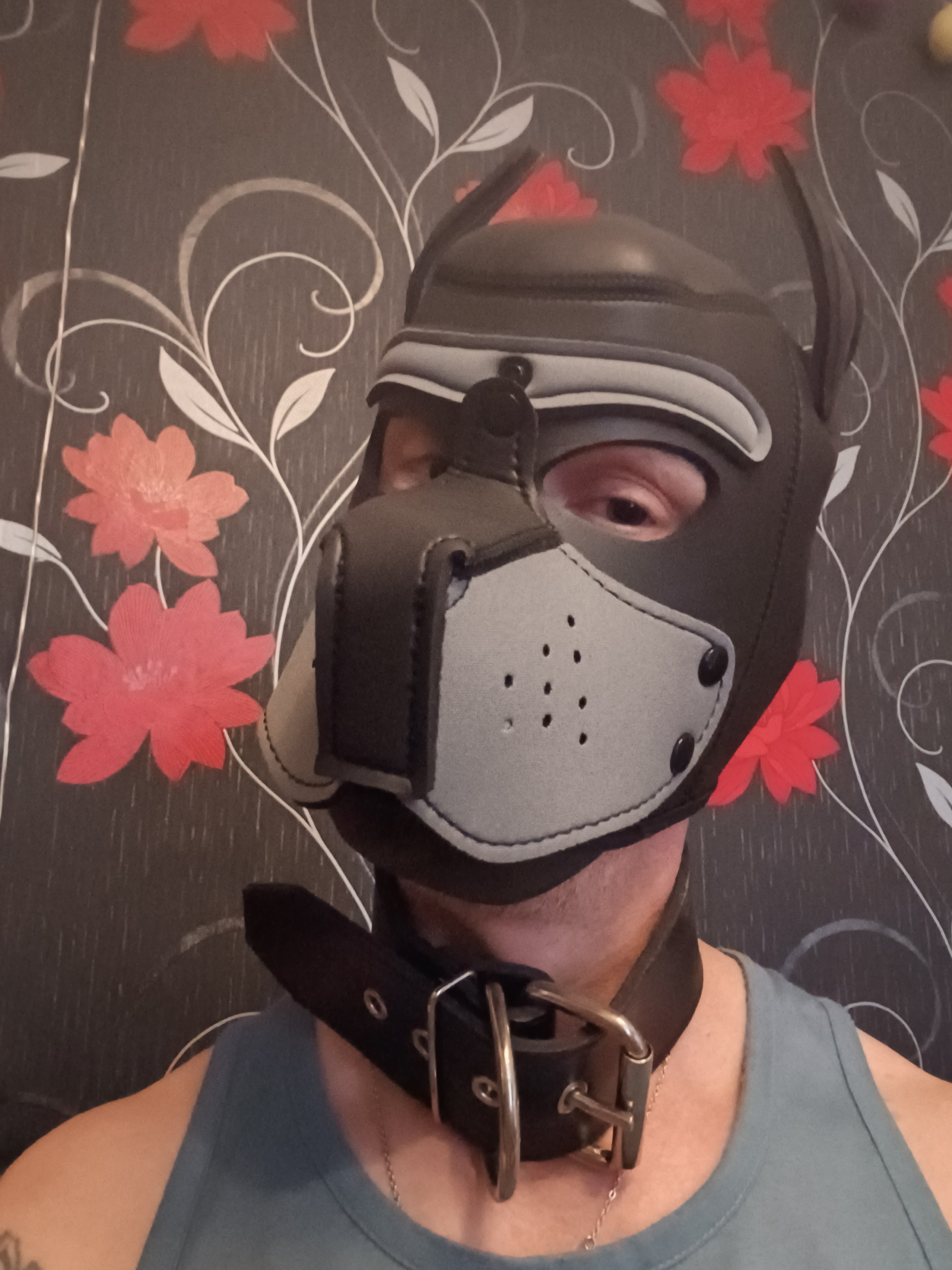 Woof! Wag! Wag!