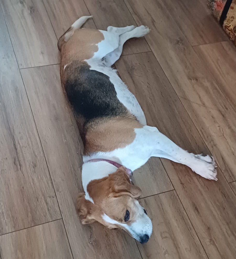 Hurrah for working from my new&nbsp;home