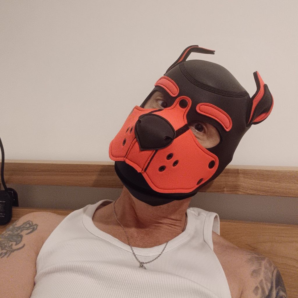 Recover, paella, and&nbsp;snuggles