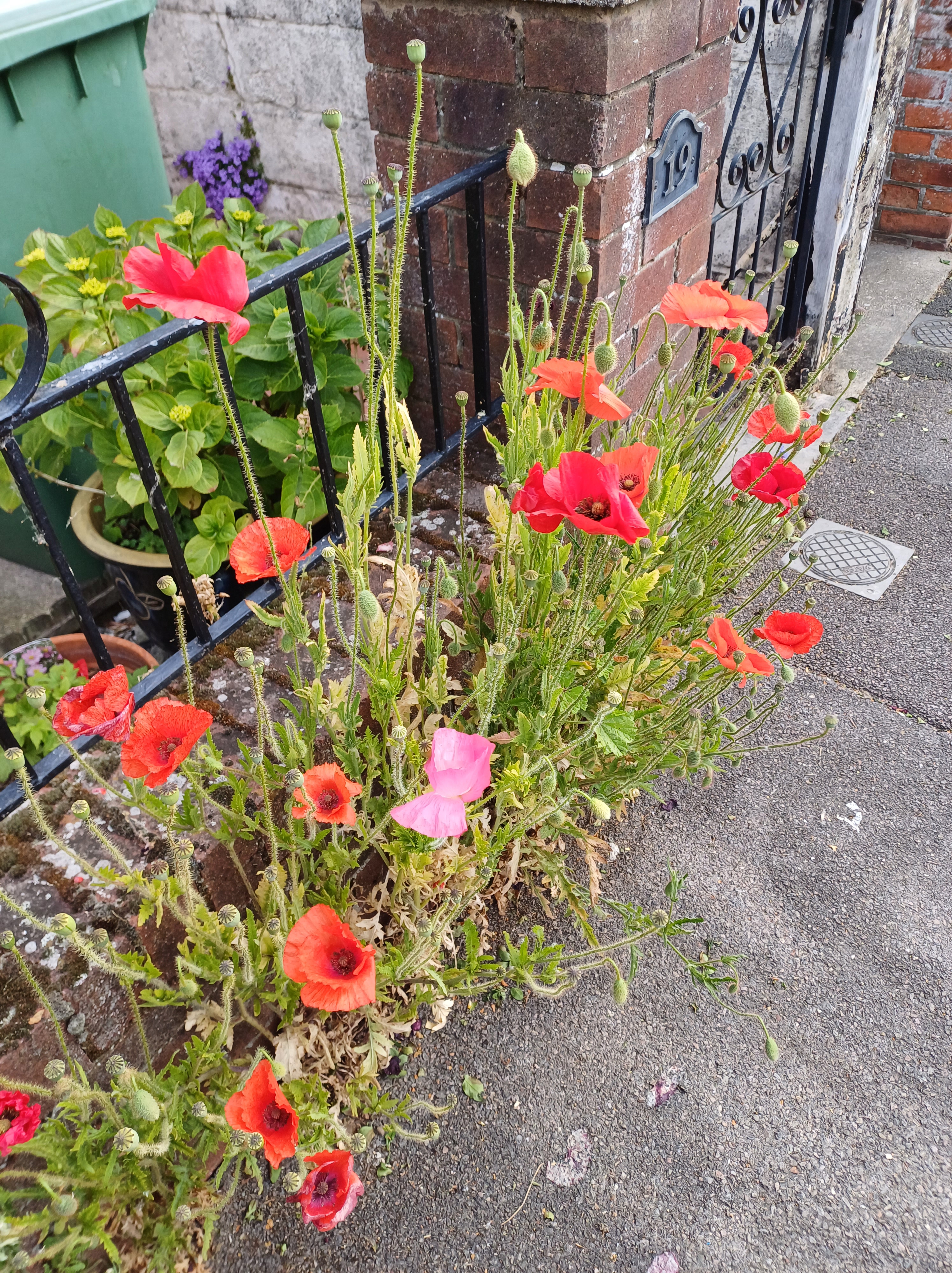 The remembrance festival