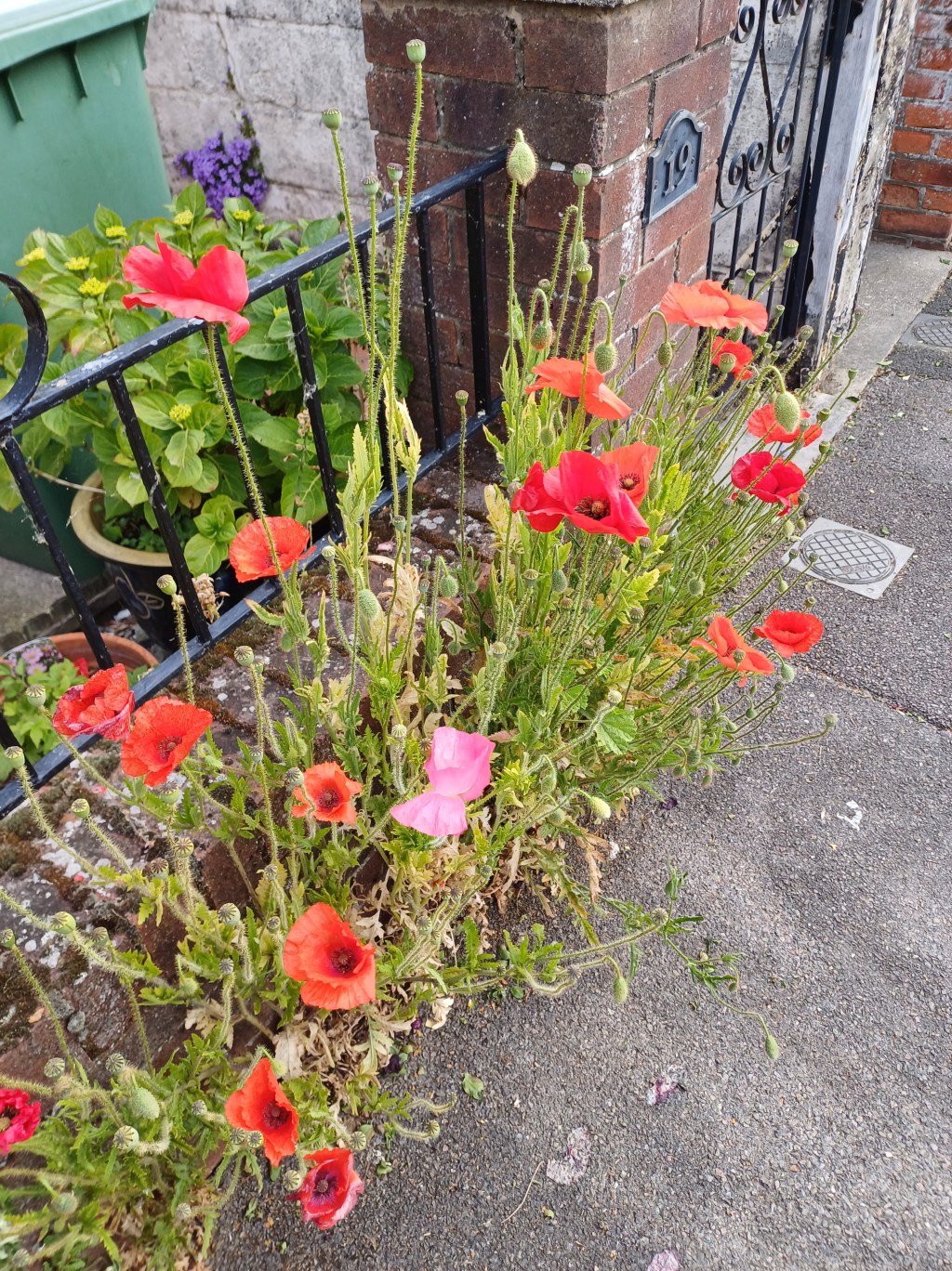 The remembrance festival