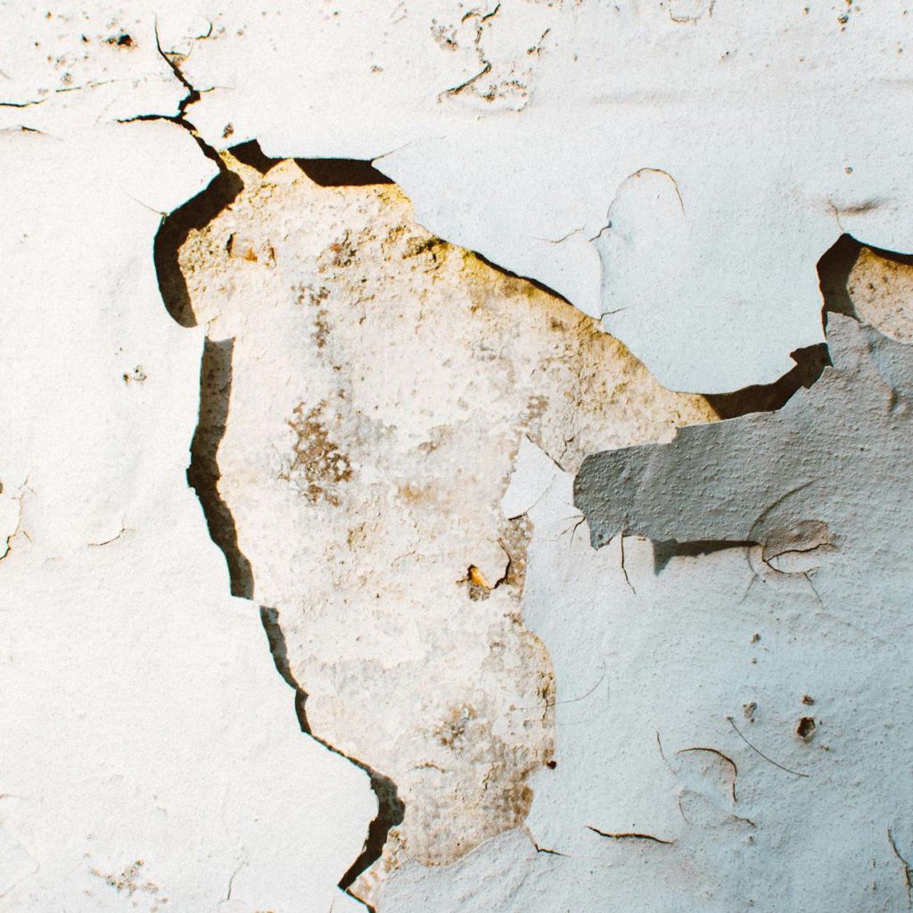 The Shit Life Does Not&nbsp;Offset