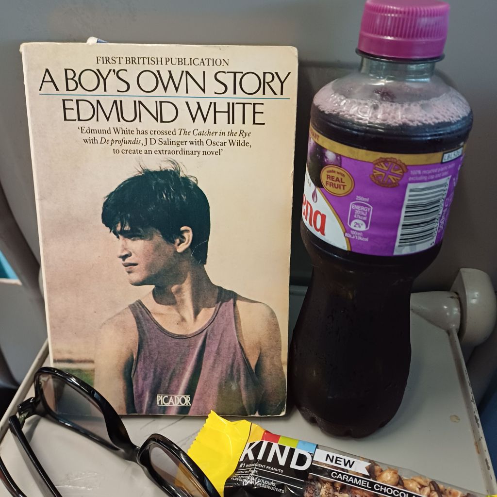 A Boy’s Own Story (Edmund White) – book&nbsp;review