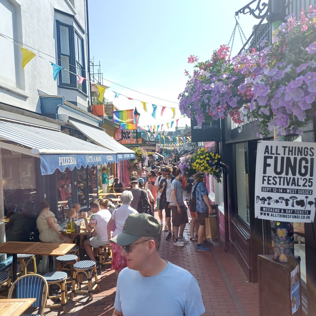 Daytime drinking in&nbsp;Brighton