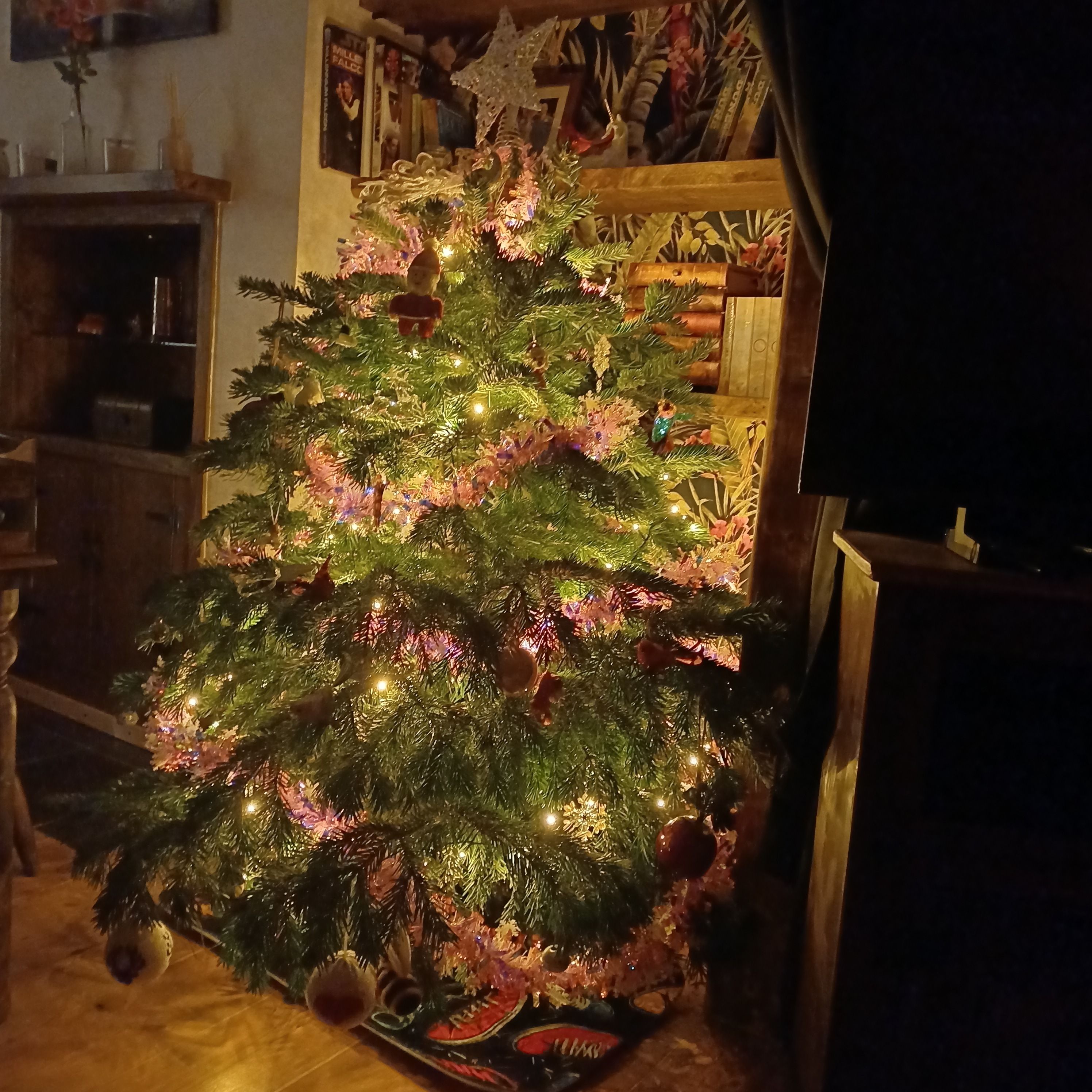 Magic, Grief, and a Real Fir Tree