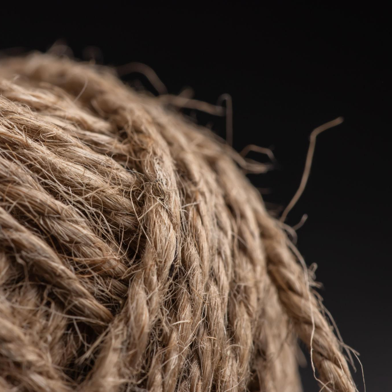 Rope after London