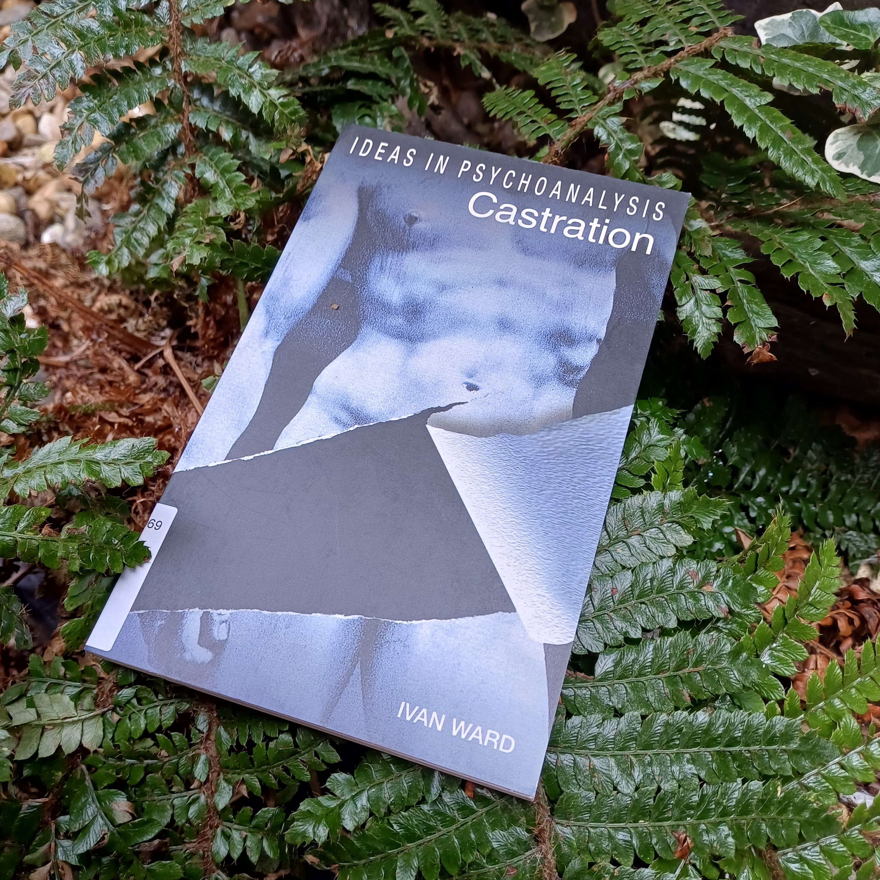 Ideas on Psychoanalysis: Castration (book) – a theory in search of evidence